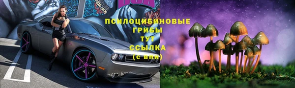 дмт Арсеньев