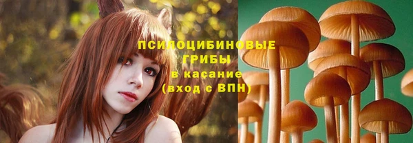 дмт Арсеньев
