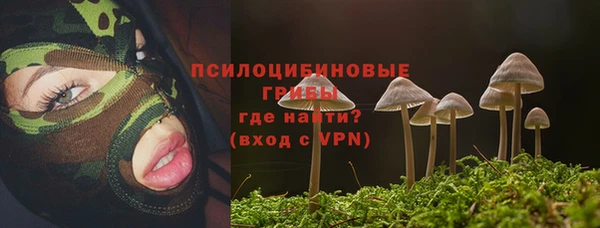 дмт Арсеньев