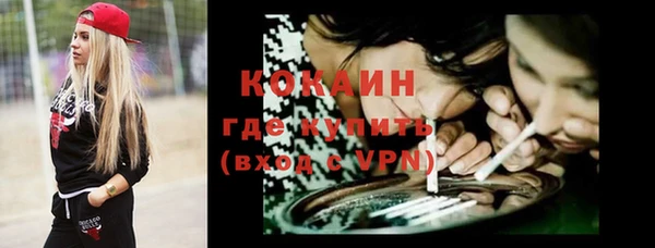 дмт Арсеньев