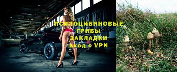 метамфетамин Аркадак