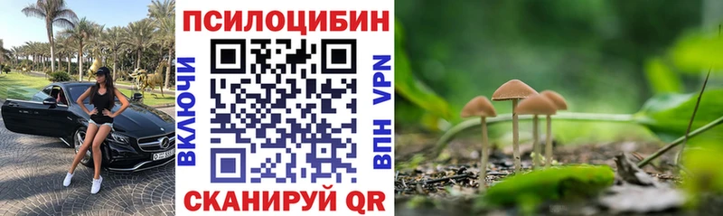 Галлюциногенные грибы прущие грибы  Острогожск 